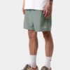 Chase Swim Trunks