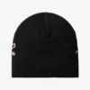 Chedda WIP Beanie